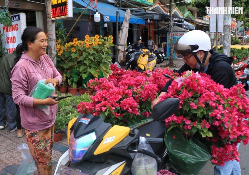Bất ngờ hoa tết ở TP.HCM: Nhà vườn gặp khách sộp liền… lì xì ngược lại khách - Ảnh 6.