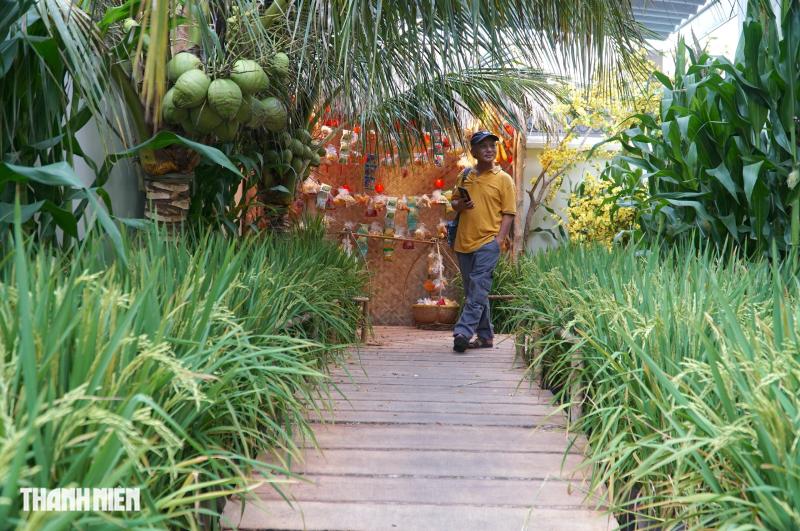Cảnh quê yên bình trong sân nhà thờ ở TP.HCM, chuẩn bị đón Tết Bính Ngọ - Ảnh 5.