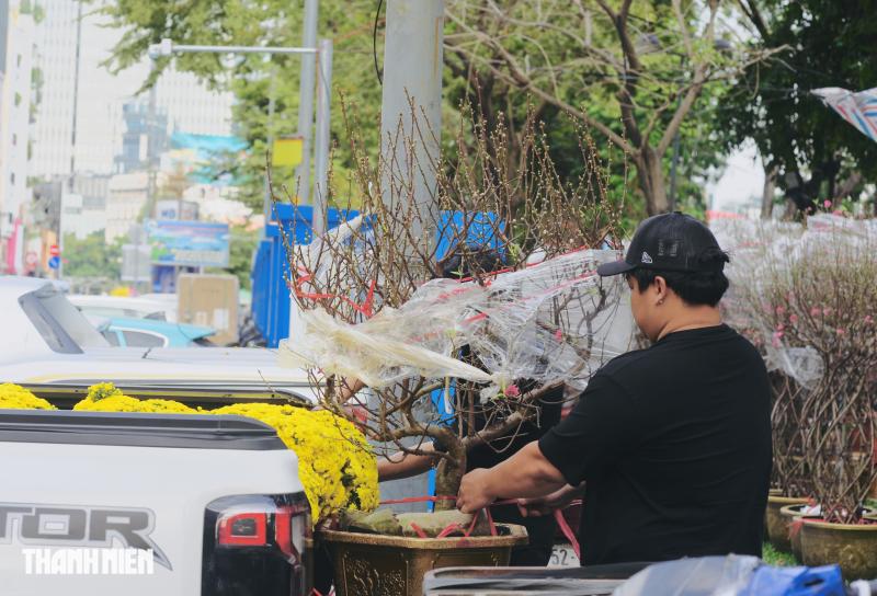 Chợ hoa tết ở tp.Hcm: Hoa đào quyến rũ chờ đón Bạn - Ảnh 4.