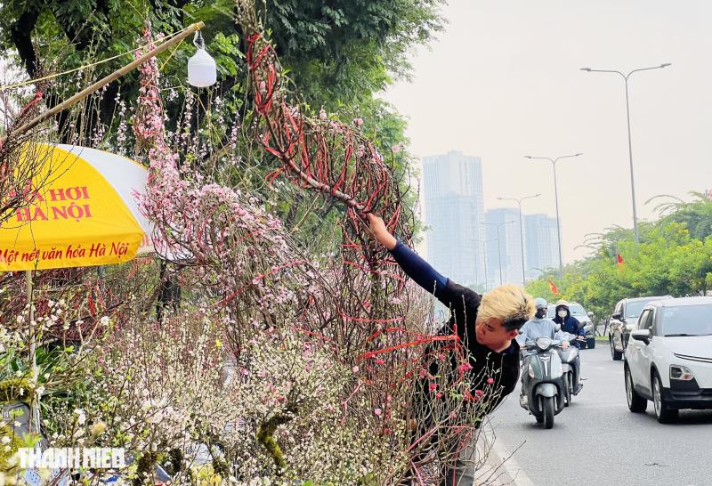 Hoa tết 2026 tràn ngập đường phố TP.HCM: Người dân thích là 'ghé lựa' - Ảnh 5.