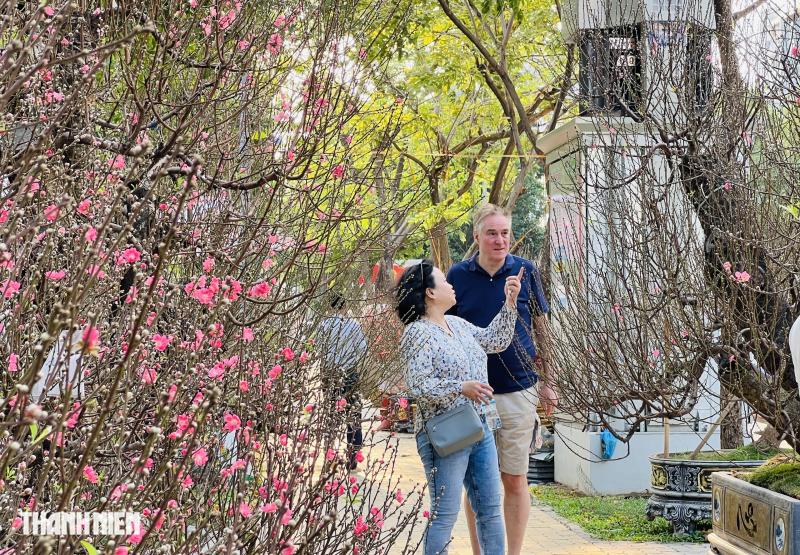 Chợ hoa tết ở tp.Hcm: Hoa đào quyến rũ chờ đón Bạn - Ảnh 10.