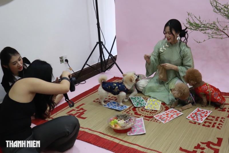 Thú cưng lên đồ chụp ảnh tết, chủ chi tiền triệu vẫn vui - Ảnh 2.