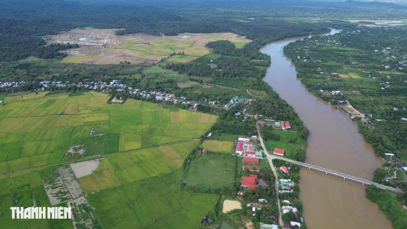 Cánh đồng châu Âu ở Tà Lài: Khám phá nguồn gốc và đời sống độc đáo - Ảnh 1.