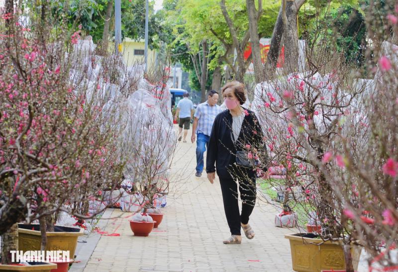 Chợ hoa tết ở tp.Hcm: Hoa đào quyến rũ chờ đón Bạn - Ảnh 1.