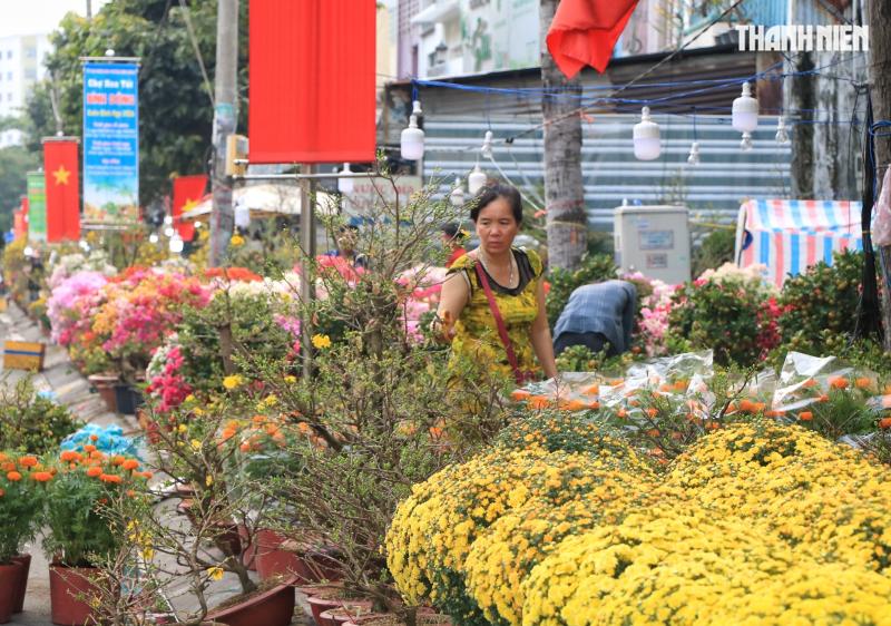 27 tết: Hoa cúc chất đống nằm la liệt ở TP.HCM, người bán nói câu nghẹn lòng  - Ảnh 9.