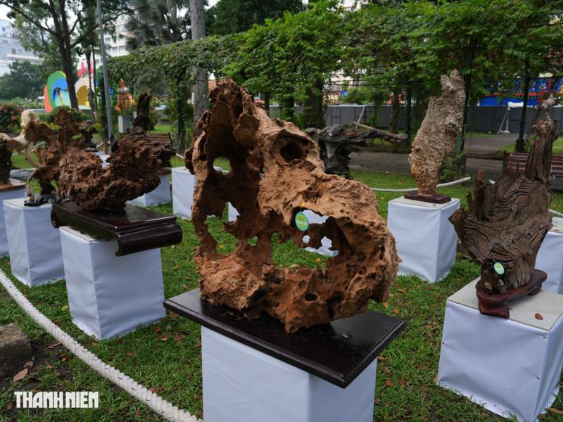 Toàn cảnh Hội hoa xuân ở trung tâm TP.HCM trước giờ khai mạc: Bên trong có gì?  - Ảnh 17.