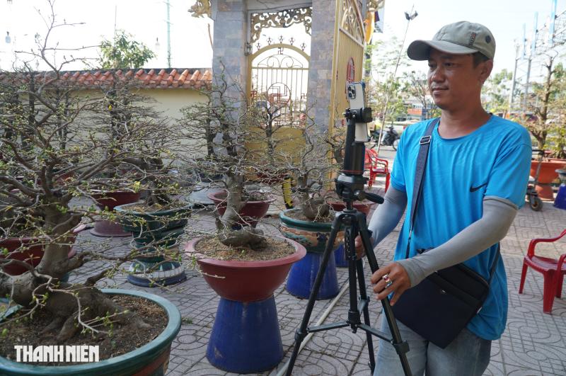 Bán mai tết bằng livestream: Nhà vườn ở đường Phạm Văn Đồng ‘lên sóng’ chốt đơn - Ảnh 2.