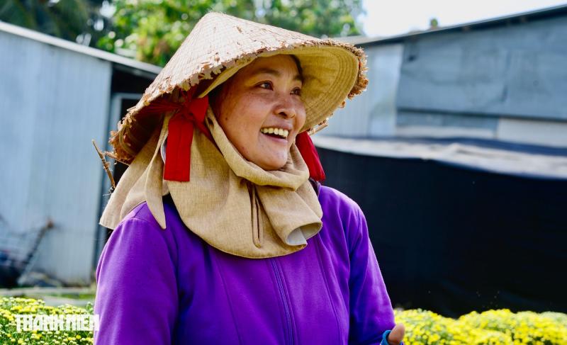 Nước mắt... và lòng tự trọng của người trồng hoa tết - Ảnh 1.