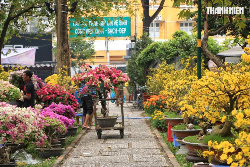 Người bán hoa tết ở TP.HCM tươi như hoa, chia sẻ bí quyết là... không nói thách! - Ảnh 3.