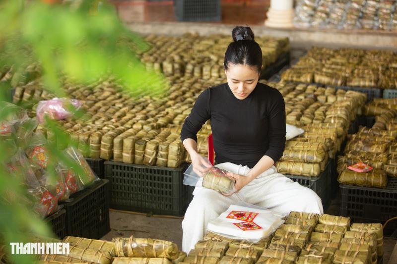 Hái rau ngót vo nếp nấu ra món bánh tét mặt trăng nức tiếng Quảng Trị - Ảnh 11.