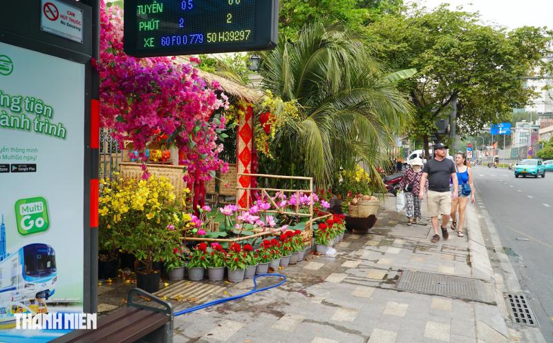 Cảnh quê yên bình trong sân nhà thờ ở TP.HCM, chuẩn bị đón Tết Bính Ngọ - Ảnh 3.
