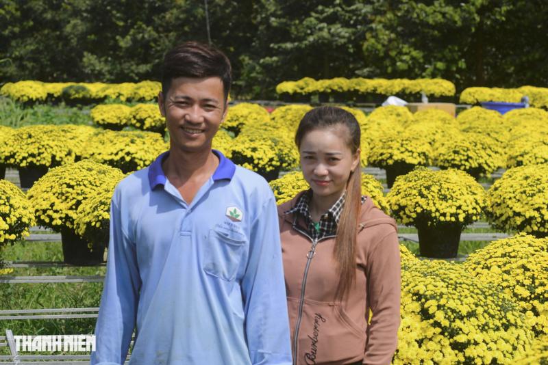 Vay ngân hàng trồng hoa tết thất bại: Nhưng mồ hôi, nước mắt rồi sẽ khô! - Ảnh 1.