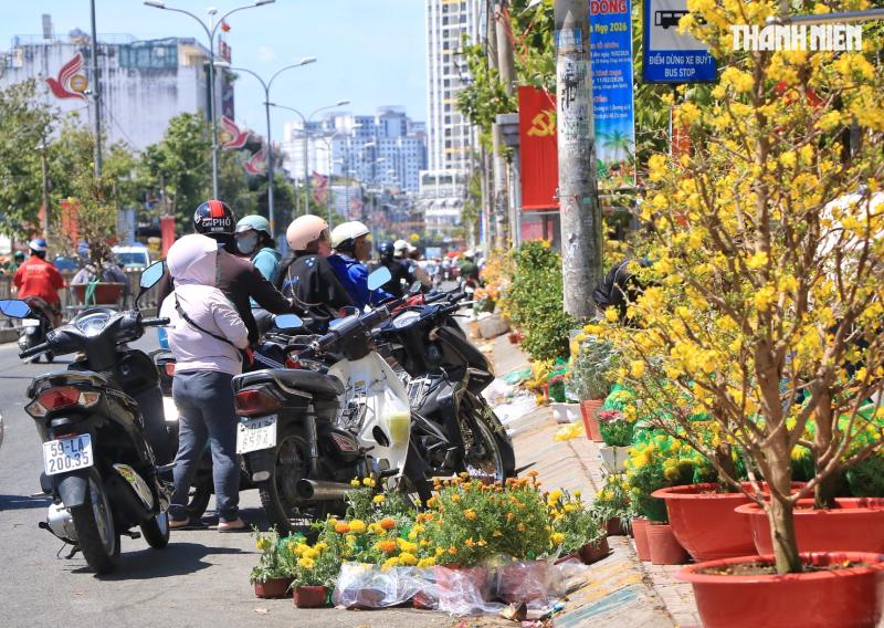 Trưa 29 tết, bất ngờ chợ hoa tết TP.HCM: Xuất hiện hoa miễn phí từ nhà vườn - Ảnh 2.