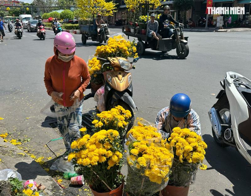 Trưa 29 tết, bất ngờ chợ hoa tết TP.HCM: Xuất hiện hoa miễn phí từ nhà vườn - Ảnh 8.