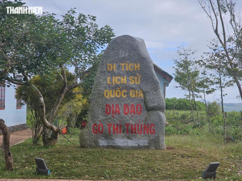  - Ảnh 4.