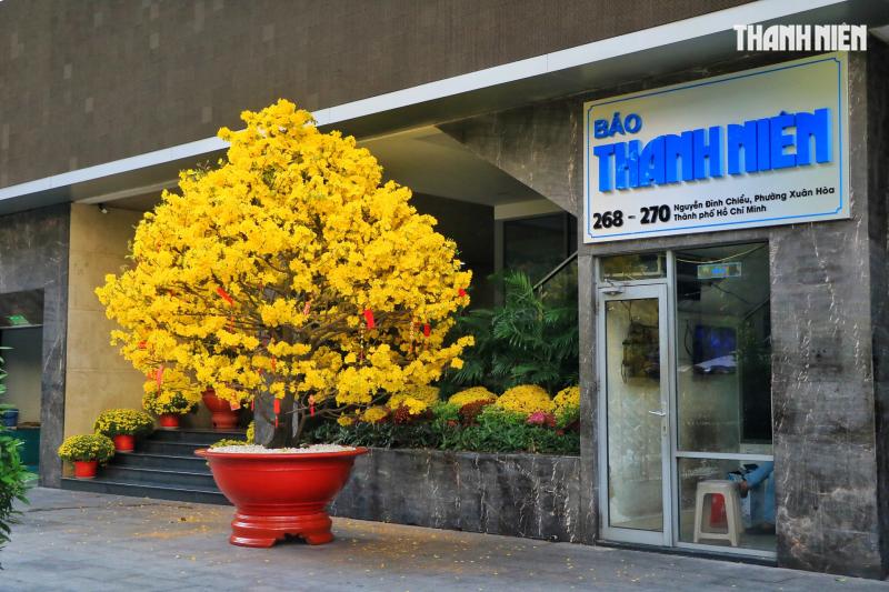 Hoàng hôn 28 tết trước ngày giao thừa: Đường phố trung tâm TP.HCM thật khác! - Ảnh 11.