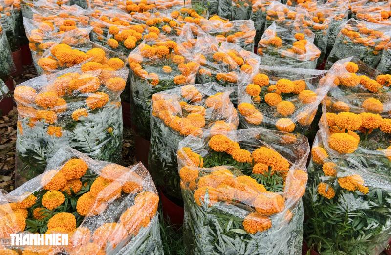 Cảnh lạ 24 tháng Chạp , người dân TP . HCM đội mưa đi chợ tết - Ảnh 5.