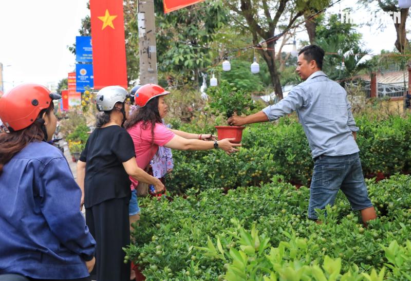 Bất ngờ hoa tết ở TP.HCM: Nhà vườn gặp khách sộp liền… lì xì ngược lại khách - Ảnh 4.