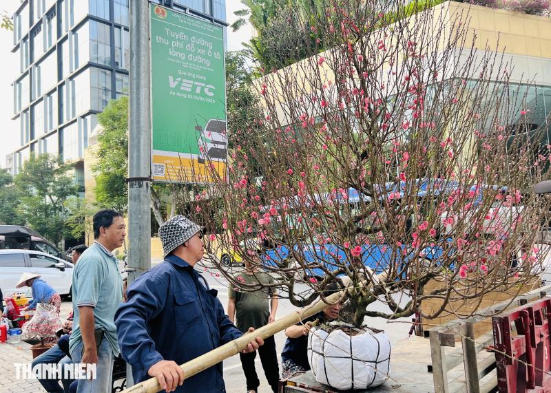 Hoa tết 2026 tràn ngập đường phố TP.HCM: Người dân thích là 'ghé lựa' - Ảnh 11.