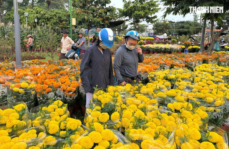 Chiều 27 tết, chợ hoa tết TP.HCM người bán cười tươi: 'Sắp hết! Sắp về nhà rồi!' - Ảnh 7.