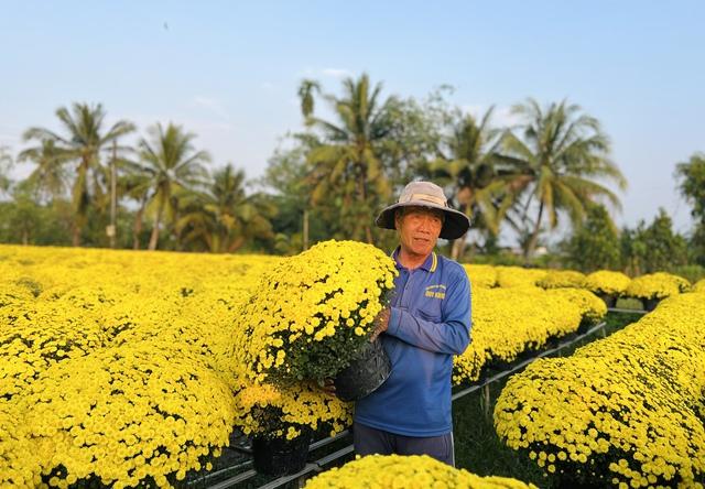 Ảnh 'ép hoa tết' nở đúng ngày ngập tràn mạng xã hội: Thật sự ép được không? - Ảnh 3.