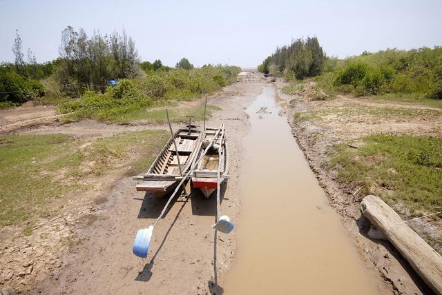 Nam bộ bước vào cao điểm hạn mặn, cần đề phòng tình huống bất thường
- Ảnh 1.