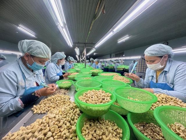 Vì sao xuất khẩu hạt điều tăng mạnh ngay từ đầu năm?  - Ảnh 1.