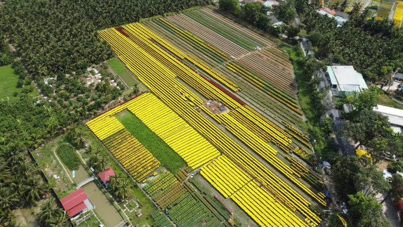 Hoa tết xuống phố - Ảnh 1.