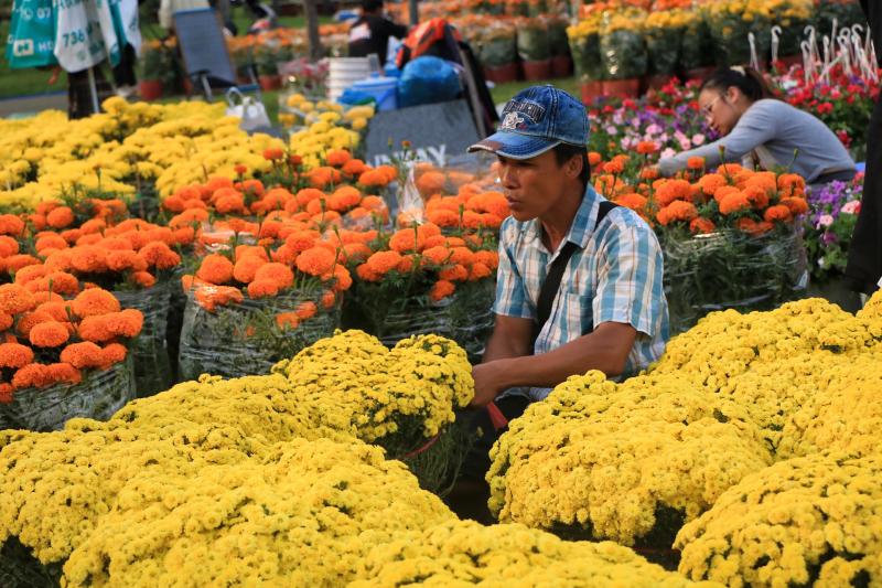 Người dân TP.HCM đi chợ hoa tết cười tươi phơi phới: 'Khỏi phải trả giá, kỳ kèo…' - Ảnh 3.