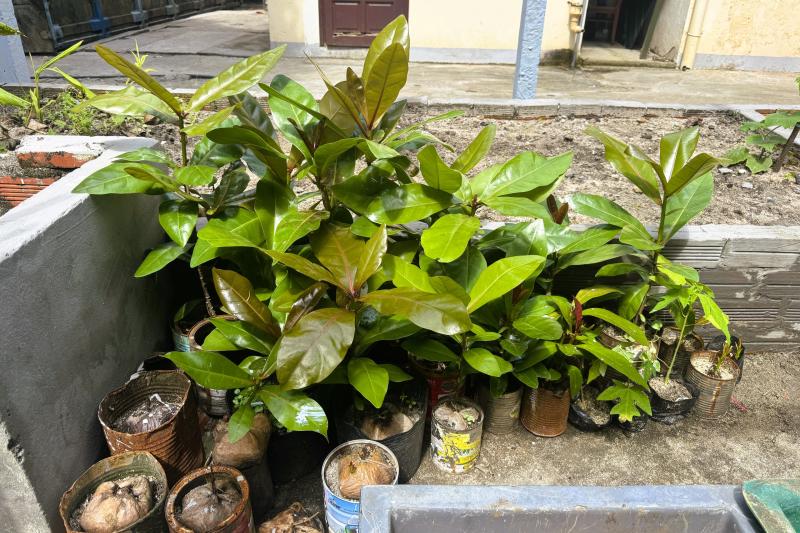 Tết ở Trường Sa - Kỳ 7: Sinh Tồn xanh xanh- Ảnh 13.