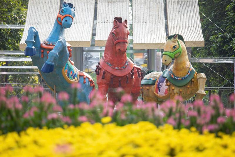 Lần đầu hội hoa xuân TP.HCM có diễu hành, trình diễn ngựa quốc tế ở Tao Đàn - Ảnh 3.