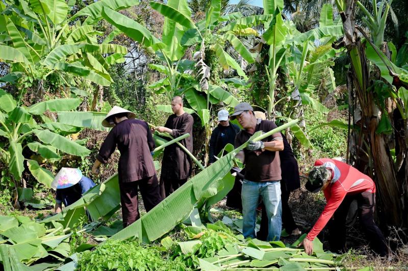 Sư thầy, phật tử của tu viện Khánh An cùng nhau rọc lá chuối để gói bánh tét - Ảnh 1.