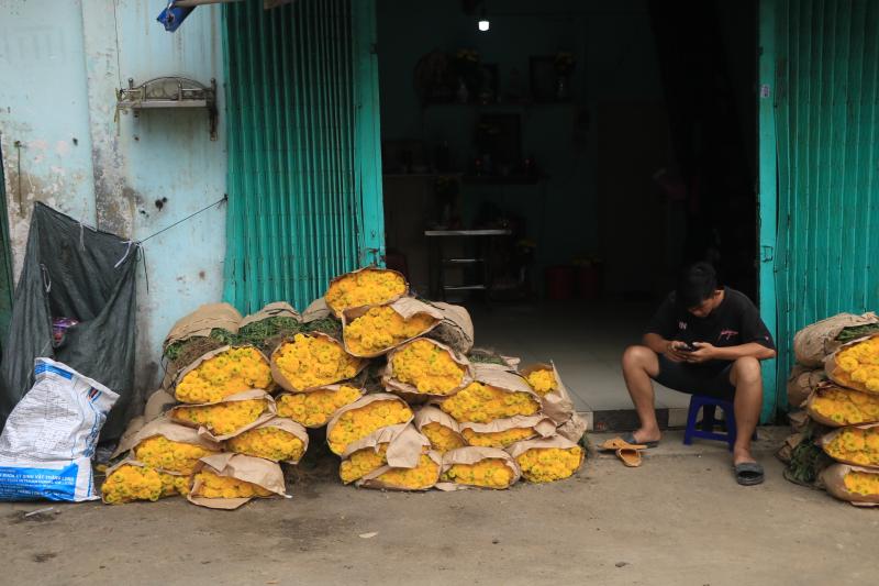 Chợ hoa lớn nhất TP.HCM chiều 23 tháng chạp: Cúc vạn thọ 'xả hàng', đại hạ giá - Ảnh 5.