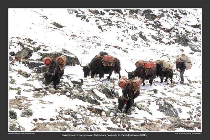 Không check-in, không nghỉ dưỡng: Vì sao nhiều người Việt chi trăm triệu tìm đến Himalaya?- Ảnh 2.