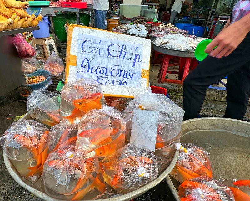 Mua cá chép cúng ông Táo 23 tháng chạp: Bất ngờ chợ Phạm Văn Hai ở TP.HCM - Ảnh 9.