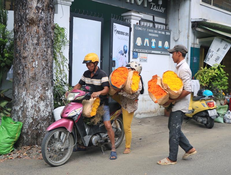 Chợ hoa lớn nhất TP.HCM chiều 23 tháng chạp: Cúc vạn thọ 'xả hàng', đại hạ giá - Ảnh 4.