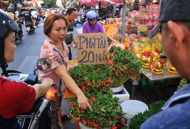Độc lạ tết ở Chợ Lớn, TP.HCM: Khu chợ mỗi năm chỉ xuất hiện đúng một lần - Ảnh 8.