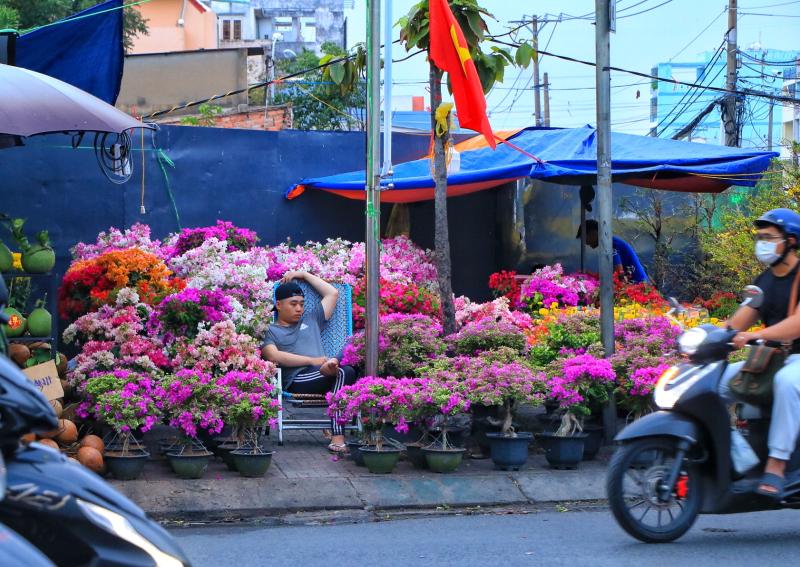 Nỗi niềm hoa tết ở TP.HCM: Không hét giá, mong về miền Tây kịp đêm giao thừa - Ảnh 1.