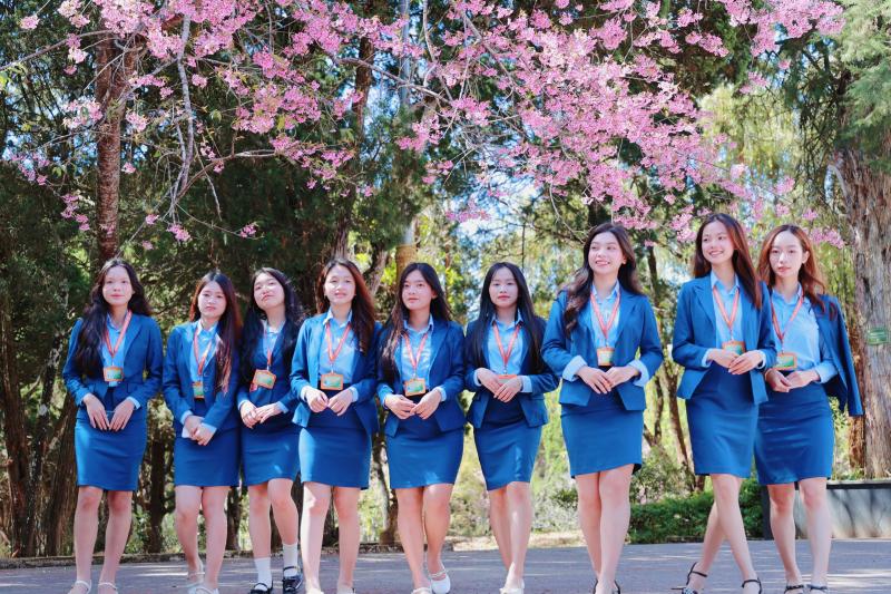 Trường ĐH Đà Lạt rực sắc mai anh đào, sinh viên, du khách thích thú chụp ảnh- Ảnh 14.
