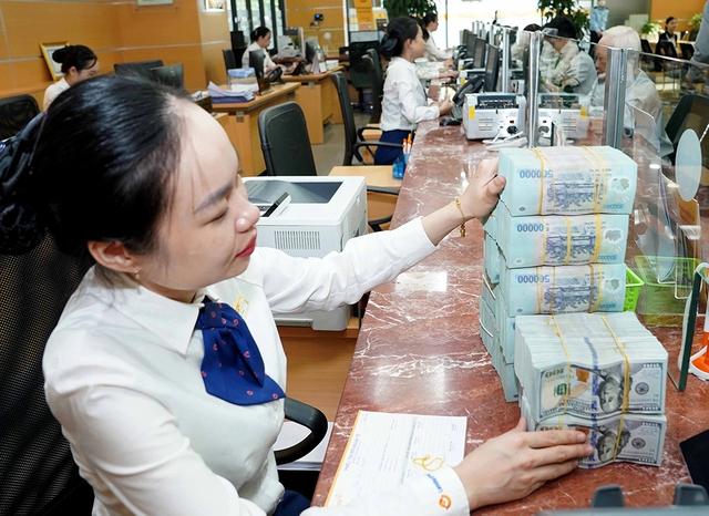 Tiết kiệm tăng, lãi vay nhấp nhổm- Ảnh 1.