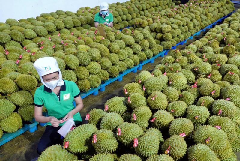Khơi dậy khát vọng làm giàu - Ảnh 1.