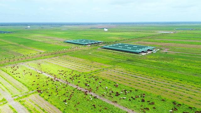 Thị trường Lào, Campuchia ngày càng quan trọng- Ảnh 1.