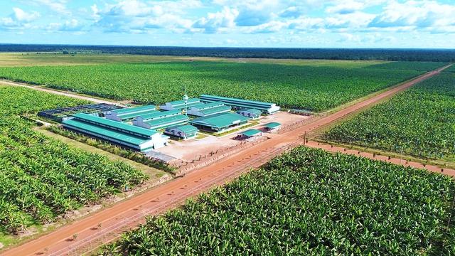 Thị trường Lào, Campuchia ngày càng quan trọng- Ảnh 3.