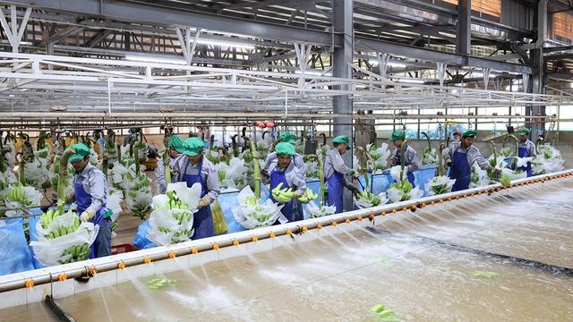 Thị trường Lào, Campuchia ngày càng quan trọng- Ảnh 4.