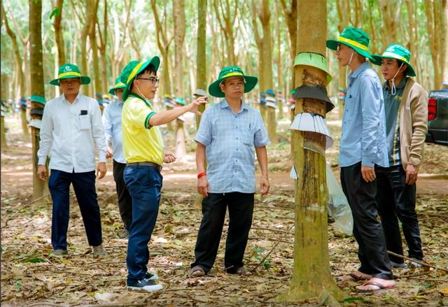 Thị trường Lào, Campuchia ngày càng quan trọng- Ảnh 5.