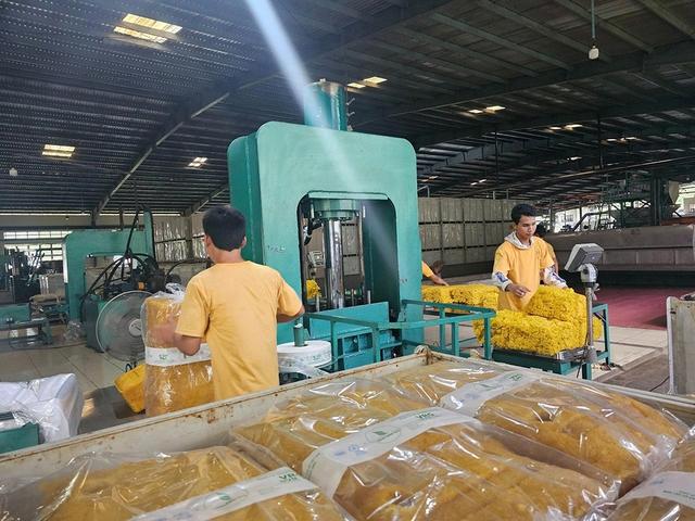 Thị trường Lào, Campuchia ngày càng quan trọng- Ảnh 2.