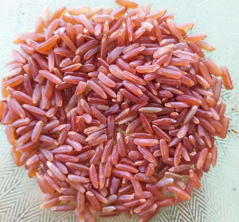 Hành trình hồi sinh gạo đỏ đặc sản miền Tây - Ảnh 2.