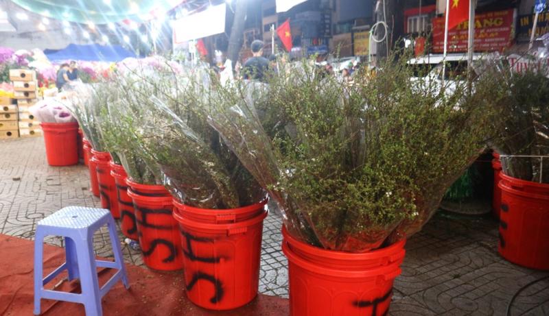Loại hoa nào giá 200.000 - 250.000 đồng, bán chạy nhất chợ Hồ Thị Kỷ tết này?- Ảnh 10.