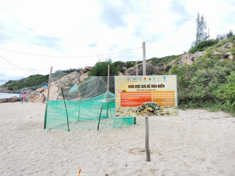 Nơi san hô nảy chồi và rùa biển tái xuất- Ảnh 5.