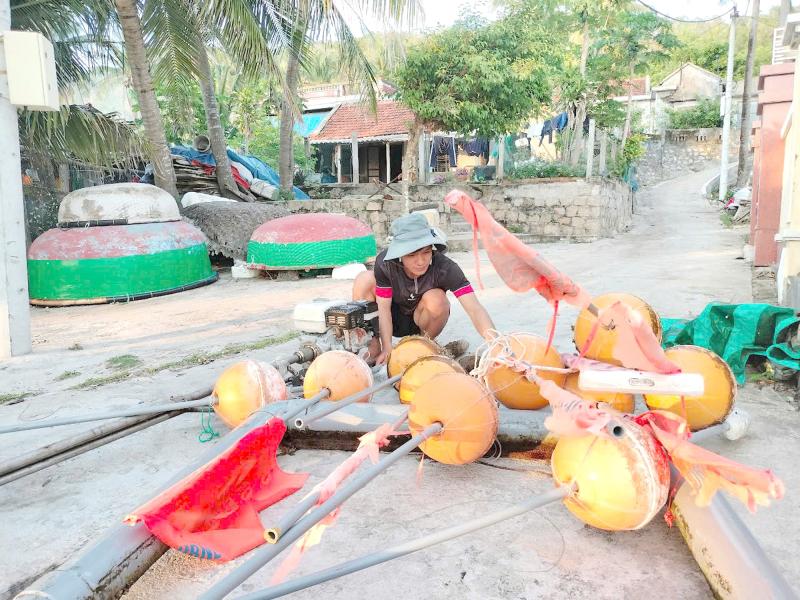 Nơi san hô nảy chồi và rùa biển tái xuất- Ảnh 6.